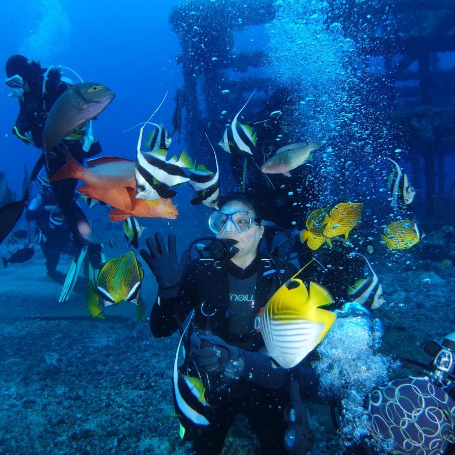Green Island Ocean Rhythem Dive B&B 綠島海韻民宿 Ngoại thất bức ảnh